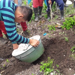 21. 20180410 Jason shows how to plant on a slope with the water saving Waterboxx plant cocoon