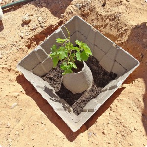 10 The Growboxx plant cocoon while installing