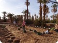Wadi 1 2 and 3 with Groasis waterboxx s and trees ready for planting Oct 2016