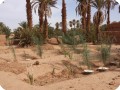 Wadis 1 2 and 3 a after 1 year Oct 2017 3