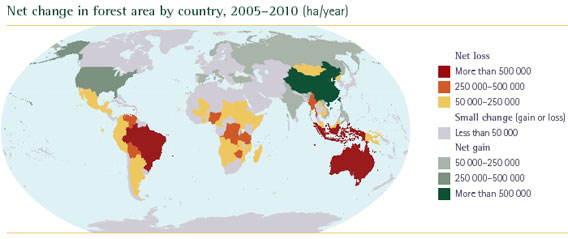 Image avec le changement annuel des forêts dans le monde