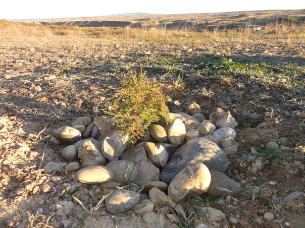 Hay and mulch covered with stones. These materials promote the development of the natural and biological life and increase the oxygen in the soil