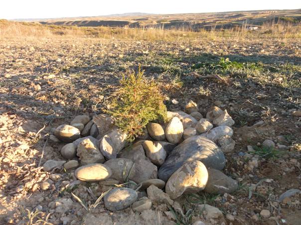 Hooi of compost bedekt met stenen. Deze materialen stimuleren de ontwikkeling van het natuurlijke en biologische leven en de verhoging van het zuurstofgehalte in de bodem