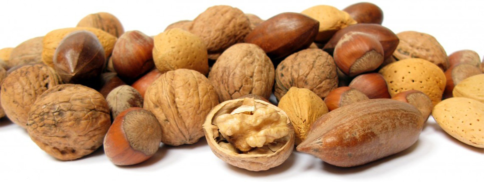 Las nueces son una fuente de alimento importante para los seres humanos - el crecimiento de los árboles de frutos secos puede resolver el problema de los alimentos para los seres humanos