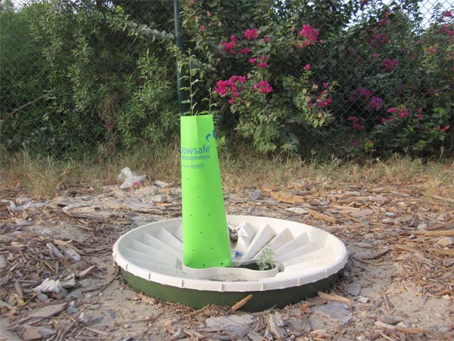 Grow your trees twice as fast with the plant protector of Groasis