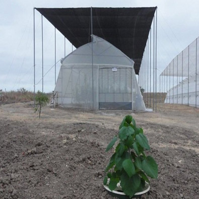 Bomen planten op een water efficiente manier in Ecuador met de intelligente emmer 'Waterboxx plant cocoon'