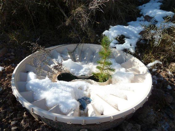 Usted puede plantar árboles y arbustos en los climas más extremos, como la escarcha, la nieve y el calor con el Waterboxx plant cocoon