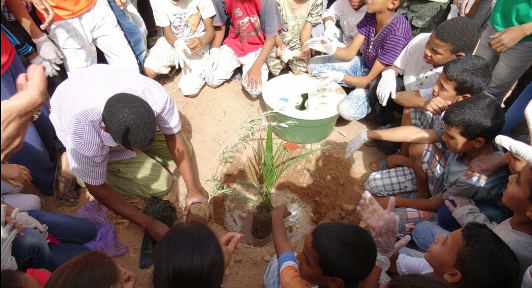 Planting trees in the sahara desert with the sahara roots foundation