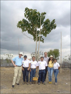 Plantar árboles en Ecuador sin sistemas de riego y ahorrar dinero en electricidad y agua - use el Waterboxx