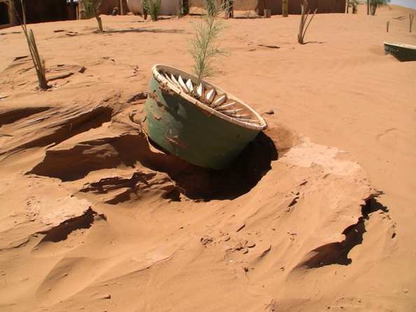 Tormentas de arena en el desierto del Sáhara o en otras condiciones meteorológicas - puede plantar árboles por todas partes con el Waterboxx