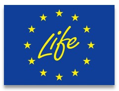 EU Lifw Climate Action Logo