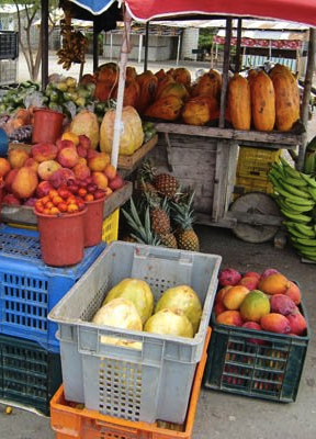 fruit
