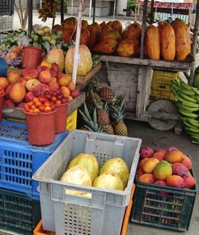 fruit 340j