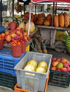 fruit 382h