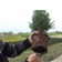 roots-youtube