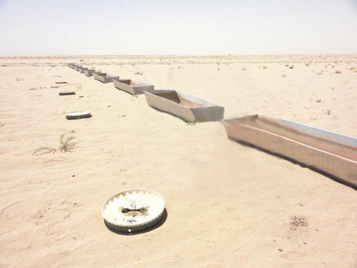 O método de plantação de poupança de água de Groasis para plantar árvores em desertos (Kuwait) com uma taxa de sobrevivência elevada