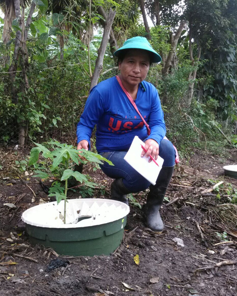 Sandra Quinonez leader of Tarabita 1 with her papaya 20180426