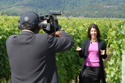 press-mondavi