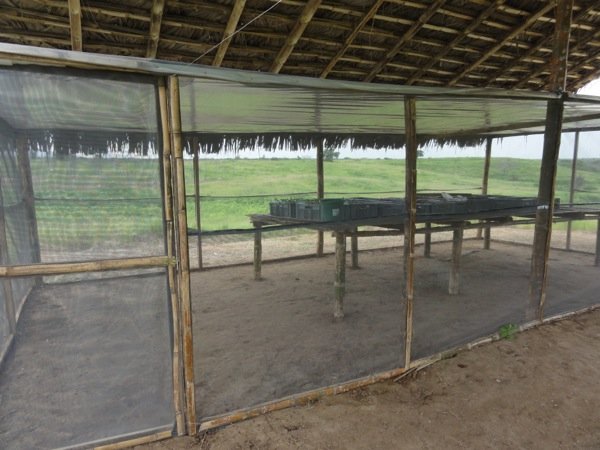 The nursery is insect free through gauze with fine openings for the ventilation