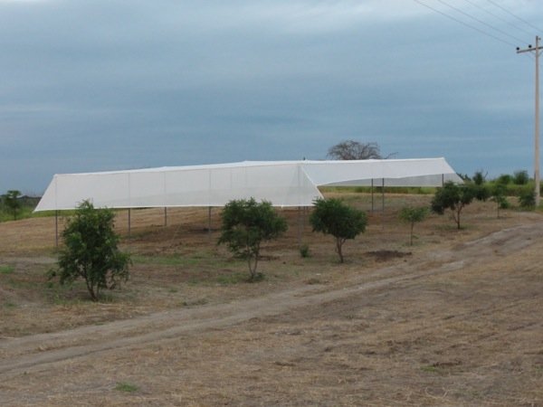 One shade house of 200 m2