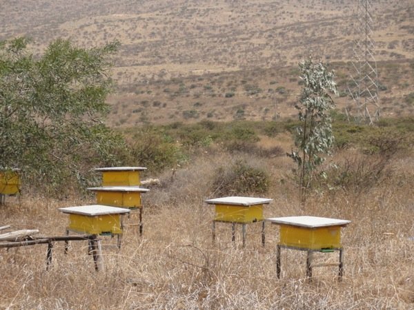 Some of the Asira Metira Monastry\'s beehouses