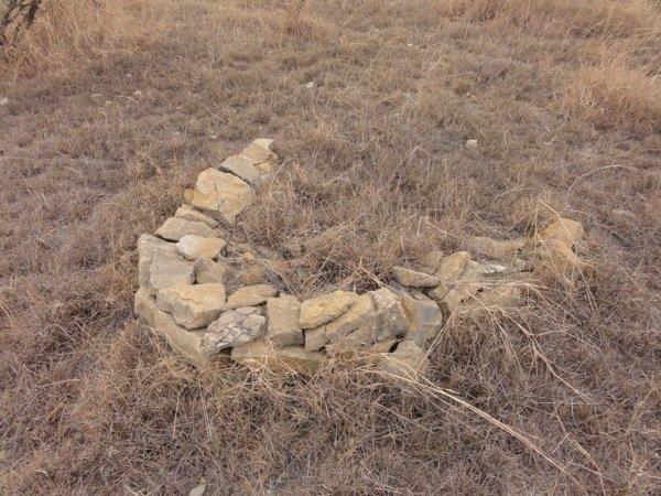 Detailed of failed method of planting trees