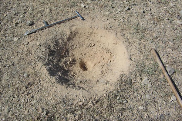 Planting holes made by the capillary drill