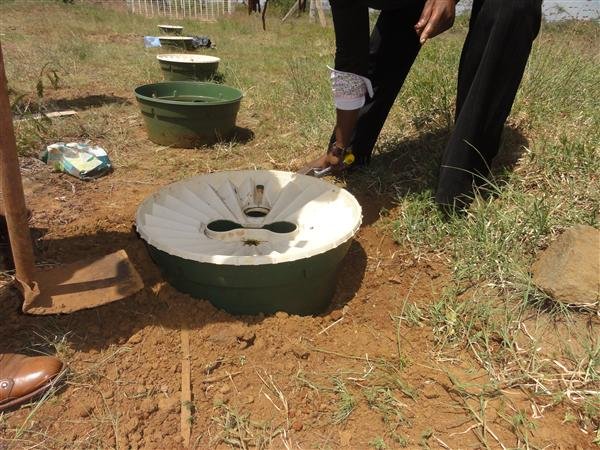   We add sufficient soil to the sides so that the wind cannot dry out the soil below the box