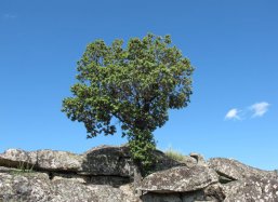 Extremadura Spain