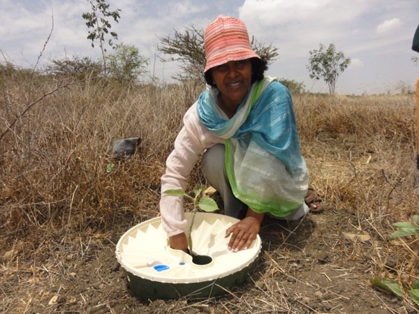 Ms. Zewdi Abadi from Ethiopia greets you. Come and visit one of the eldest civilizations on Earth. Here it all started!