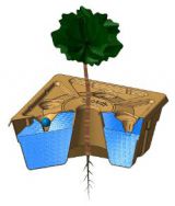 0B Transparant view of Growboxx plant ocoon with tree not combined with vegetables or plants or bushes