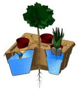 0C Transparant view of Growboxx plant cocoon with tree combined with vegetables or plants or bushes