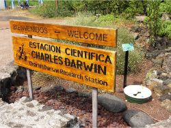 38 The Charles Darwin Foundation plants with the Groasis Technology because there are no springs wells on the Galapagos Islands