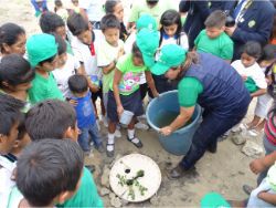 39 Tree planting competition Waterboxx plant cocoon in elementary school in Santa Helena Ecuador