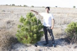 51 Five year old tree in the Los Monegros Desert Zaragosa Spain with biodegradable Waterboxx plant cocoon