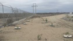 53 Ecuador desert of Santa Helena planting without irrigation for energy company Celec with Waterboxx plant cocoon