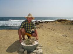 67 Pieter Hoff with Algarrobo tree on most difficult place of Earth Chocolatera cliff in Ecuador