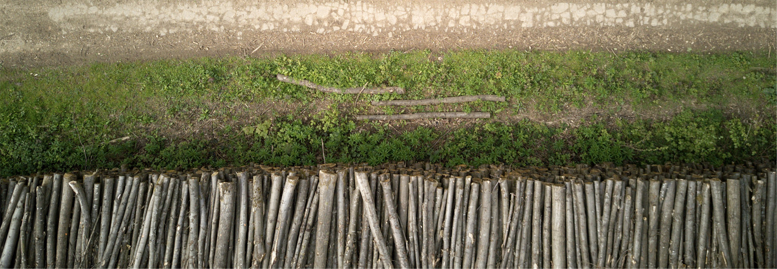 Ontbossing, een van de grootste problemen waar de wereld tegenaan loopt. De Amazone, regenwouden, alles verdwijnt voor de productie van palmolie, hout en soja.