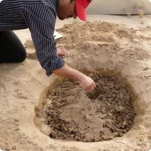 1 Planting Ghaf trees  Prosopis cineraria  in the desert of Kuwait for the Kuwait Great Green Wall in 2014