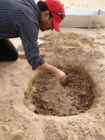 1 Planting Ghaf trees  Prosopis cineraria  in the desert of Kuwait for the Kuwait Great Green Wall in 2014