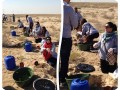 2 Planting Ghaf trees  Prosopis cineraria  in the desert of Kuwait for the Kuwait Great Green Wall