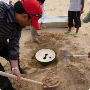 3 Detail of planting the Great Green Wall in the Kuwait Desert