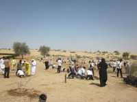 Planting trees in sand