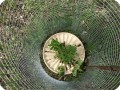 the waterboxx plant cocoon  protected against animals