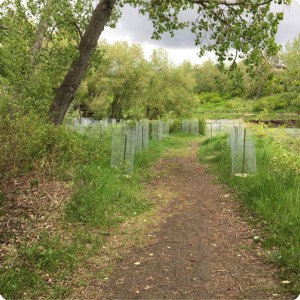 the waterboxxes in the environment park