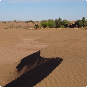 1. Beautiful dunes in the Saharan Desert in Morocco