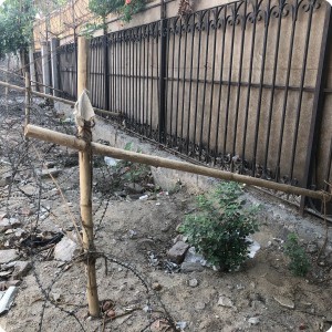 12 The tree planting place is protected with a hand made fence kopie