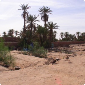 16. Wadi 2 3 4 5