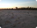 1 Dawn in Mexicali Mexico where Groasis plants the Growboxx plant cocoon