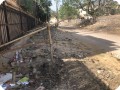 1 Growboxx plant cocoon plantation in Gurgeon India along street with bamboo and iron wire protection
